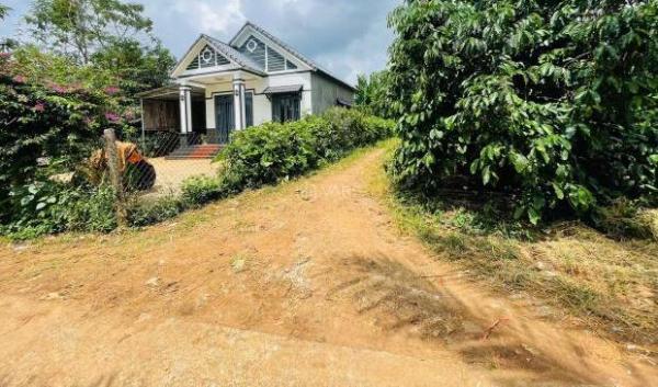 Bán Đất nền riêng lẻ 175m²