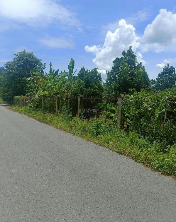 Chủ cần bán Trang trại, nhà vườn 926m²