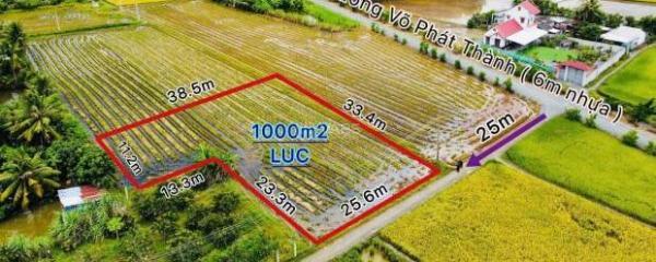 Cần bán 1000m2 đất 🏢 🌾 giá 1tỷ899triệu đường xe 7 chỗ cách ĐT830 300m sổ hồng