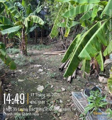 Bán đất phố 🏘️ Lương Đắc Bằng phường Đông Sơn TP Thanh Hóa 178,9m2 giá 2,1 tỷ