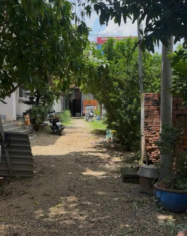 Bán Đất nền riêng lẻ 2833m²