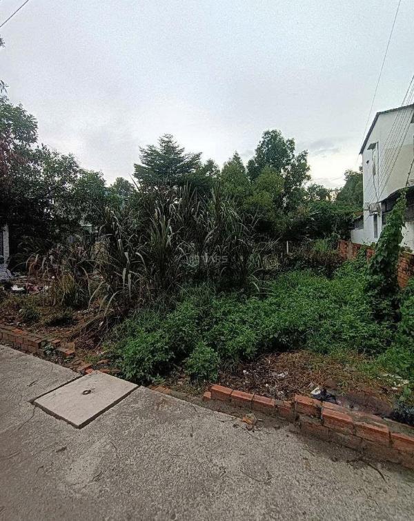 Cần bán Đất nền riêng lẻ 300m²