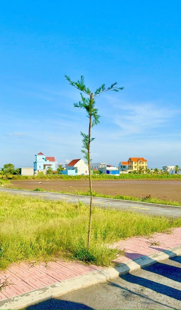 Bán Đất nền riêng lẻ 86m²