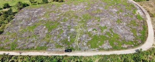 Cần bán Khác 20000m²