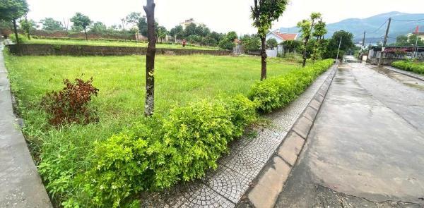 💎 🏘️ đất ở đô thị trung tâm đông triều còn đúng vài lô giá tốt, hạ tầng đang lên