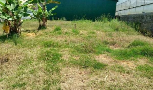 Chủ cần bán Đất nền riêng lẻ 246m²