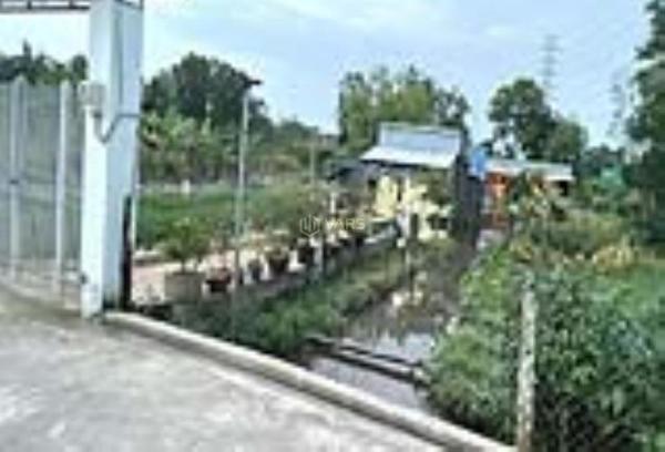 Cần bán Trang trại, nhà vườn 2798m²