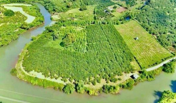 Đất nghỉ dưỡng Tân Lạc Hoà 🏡 Bình