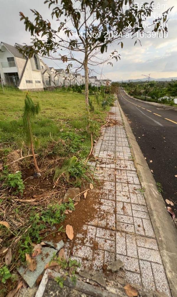 Sở hữu ngay lô đất biệt thự sinh thái tp. 🏢 bảo lộc kdc hiện hữu, shr 100% thổ cư