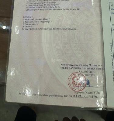 Bán ô đất 🏦 Giàn Chiếu, Hợp Thịnh, Tam Dương View vườn hoa cực đẹp