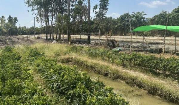 Cần bán Đất nền riêng lẻ 11093m²