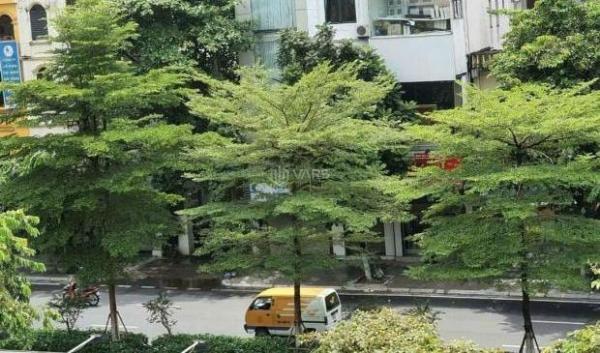 CHÍNH CHỦ CHO THUÊ NHÀ 🏚️ 5 TẦNG TẠI NGÕ 82 KIM MÃ, BA ĐÌNH, HÀ NỘI