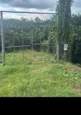 Chủ cần bán Trang trại, nhà vườn 1500m²