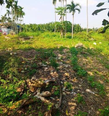 Cần bán Đất nền riêng lẻ 1358m²