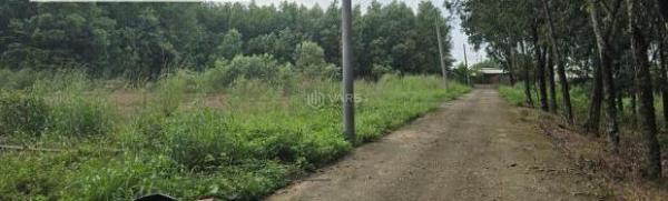 🏡 BÁN ĐẤT TRỊ AN – GẦN 🏠 ĐƯỜNG DT768, CÓ QUY HOẠCH MỞ RỘNG 768B CẮT QUA