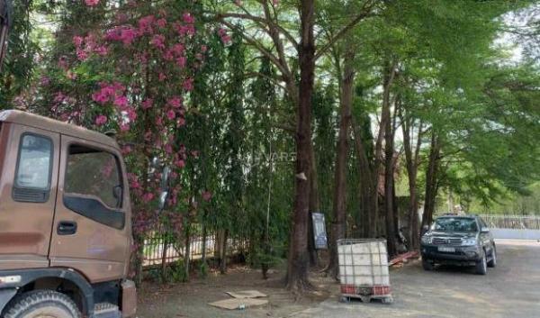 Chủ cần bán Nhà xưởng, nhà kho 37000m²