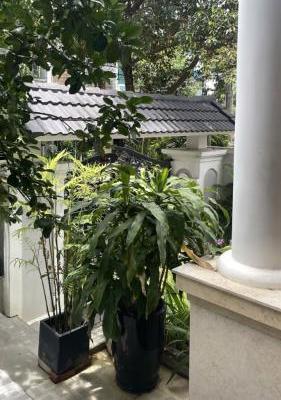 44 - Nguyễn Đỗ Mục - Biệt Thự 3 Tầng Gần Thăng Long - Khuê Trung - Cẩm Lệ - Đường 🏡 7m5 giá