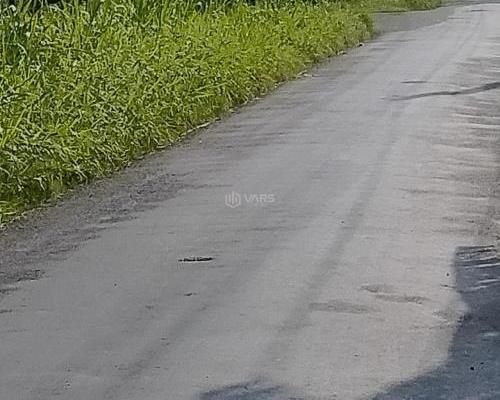 Đất mặt tiền nhựa HL97 - Cty may Việt Long Hưng , TP Gò Công, Tiền 🏬 Giang cũ.