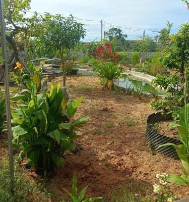 🌿CẦN BÁN GẤP NHÀ VƯỜN PHÚ LONG CỰC ĐẸP 1600M2– CÁCH PHAN THIẾT CHỈ 7KM. 🏢 GIÁ 3,9 TỶ