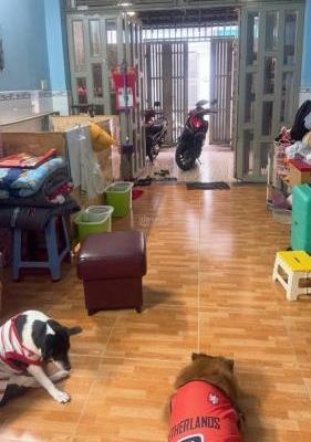 Cần bán Nhà trong hẻm 60m²