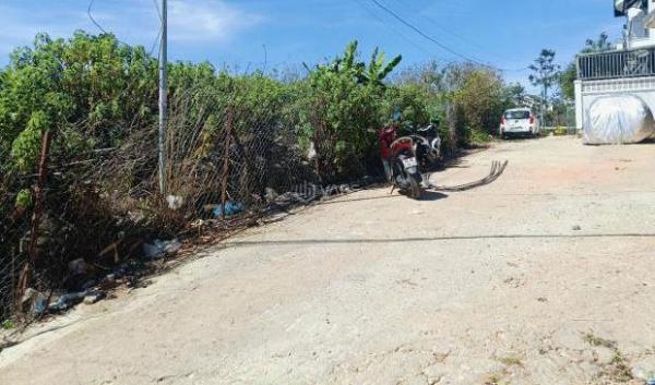 Đất 🏦 View Rừng Thông Thoáng Đẹp Hoàng Hoa Thám – Không Gian Lý Tưởng Cho An Cư & Nghỉ Dưỡng