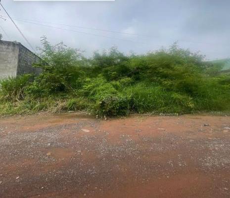 Bán gấp đất sào bình minh trảng 🏤 bom 1800m2 giá4tỷ/1 sào