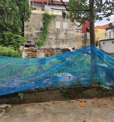 BÁN ĐẤT NHƯ 🏘️ QUỲNH-TRƯNG TRẮC VĂN LÂM-NGÕ THÔNG-Ô TÔ VÀO ĐẤT-64m2 - 2,95 tỷ