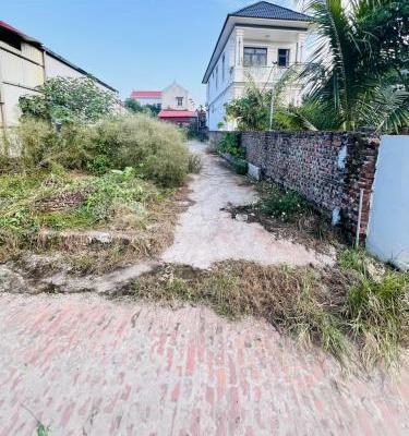 BÁN ĐẤT 🏬 TÂN TIẾN VĂN GIANG-SÁT SÂN PVF- ĐH BÁCH KHOA-Ô TÔ-NGÕ THỒN-242m2- 8 tỷ