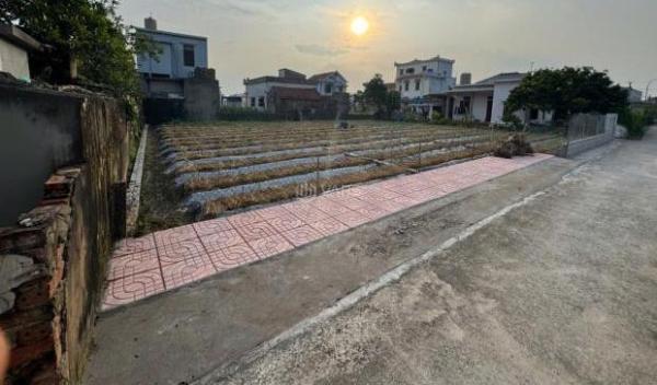 Cần bán Khác 215m²