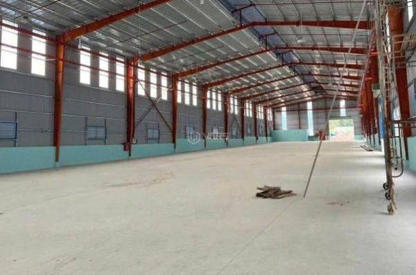 CHO THUÊ KHO XƯỞNG BẾN LỨC, LONG AN 15.000M2. CHO THUÊ LẺ TỪ 1000M2 ☘ GIÁ RẺ 50K/M2