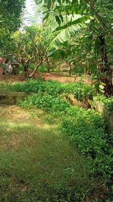 Bán đất 220m² nở hậu, MT6m, Ôtô Thông–xã 🌊 Hùng Sơn, Hiệp Hòa, 1.150ty