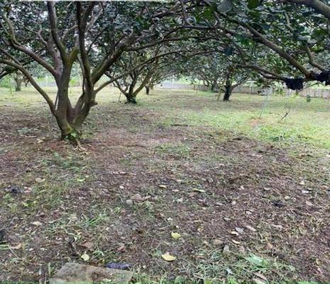 Cần bán Khác 1000m²