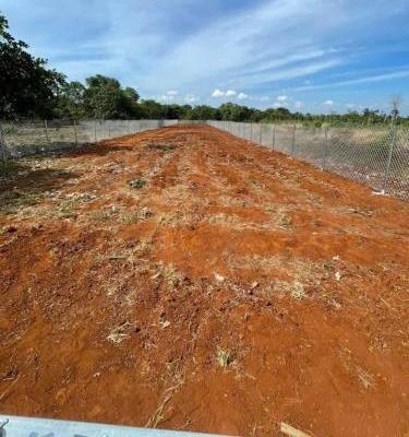 1 sào đất đỏ bằng phẳng, đường nhựa, thích hợp làm 🏚️ vườn giá 1ty20tr