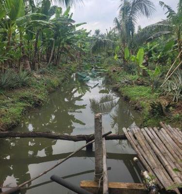 Chủ cần bán Khác 12000m²