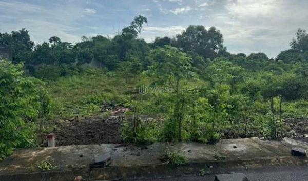 Cần bán Khác 195m²