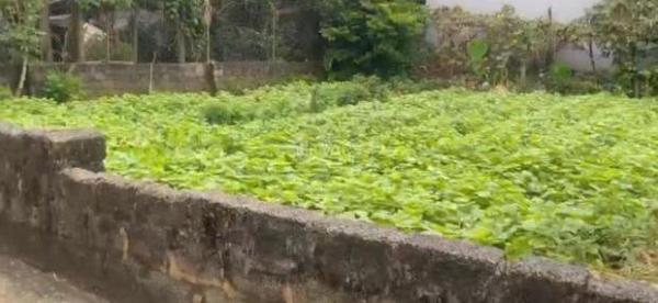 Cần bán Khác 204m²