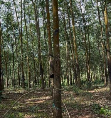 Chủ cần bán Khác 20000m²