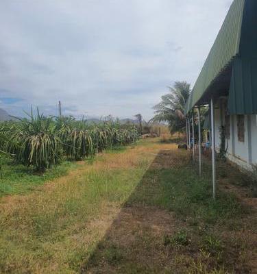 🔥 BÁN 🏬 GẤP 2 LÔ ĐẤT SÀO LIỀN KỀ 2578m²– HÀM HIỆP. ❌GIÁ 2,5TỶ