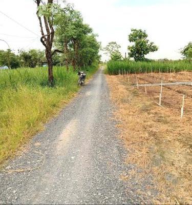 2,1 🏡 công đất nền gần HL07 Bình Ân, Gò Công Đông , Tiền Giang giá 850tr/1000m2