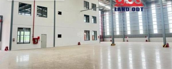 Chủ cho thuê Khác 7480m²