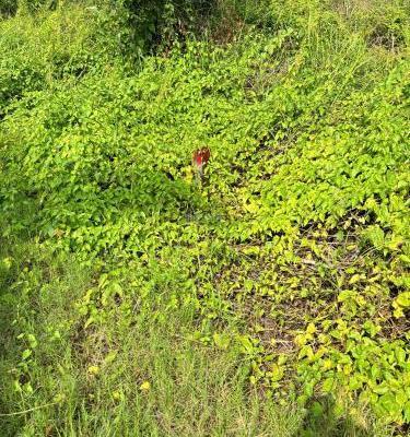 Chủ cần bán Khác 179m²