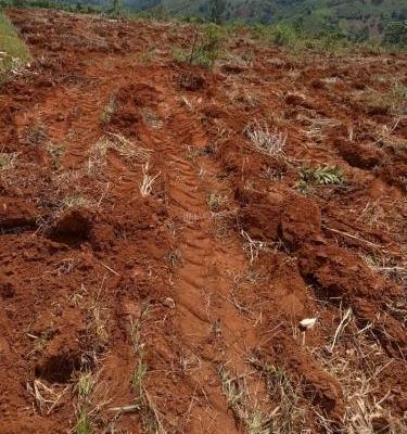 Bán Khác 280000m²