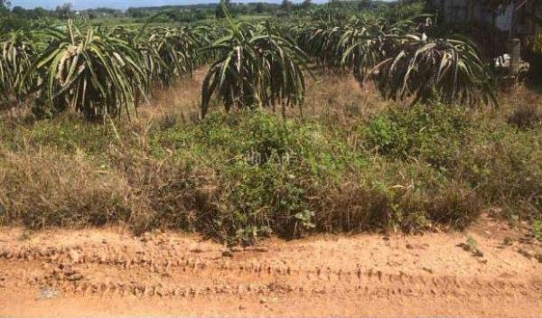 Bán 1116m2 đất hẻm Đinh Công Tráng -Tân Tiến - LaGi giá 🌊 ngộp 750 triệu gần biển