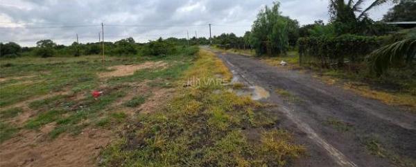 Cần bán Khác 12000m²