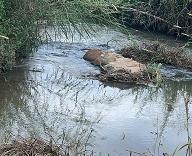 Cần bán 12 lô đất. Xã Phú Hội, Xã Ninh Gia, xã Tà Hine. xã Lạc 🏚️ Dương. Lâm Đồng.