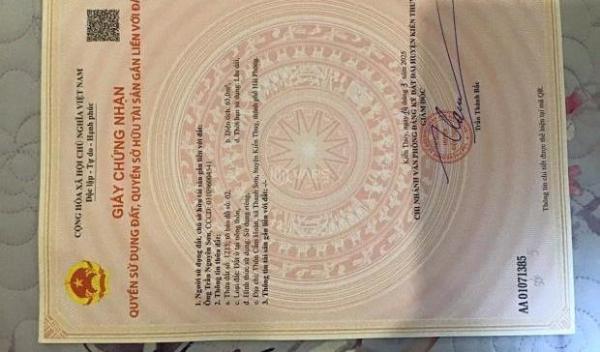 - ❌❌❌Ngay trung 🏠 tâm Cẩm Hoàn - Thanh Sơn - Kiến Thụy hơn 80m2 giá đầu tư chỉ 1ty4xx đường