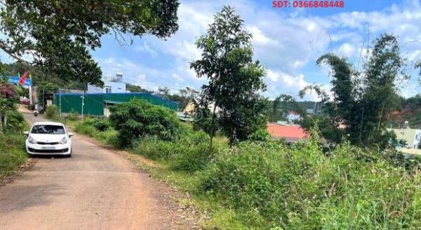 GIÁ TỐT - CHÍNH CHỦ Cần Bán 🏤 Nhanh Lô Đất Cách Trường Cao Đẳng Cộng Đồng Chỉ 100m