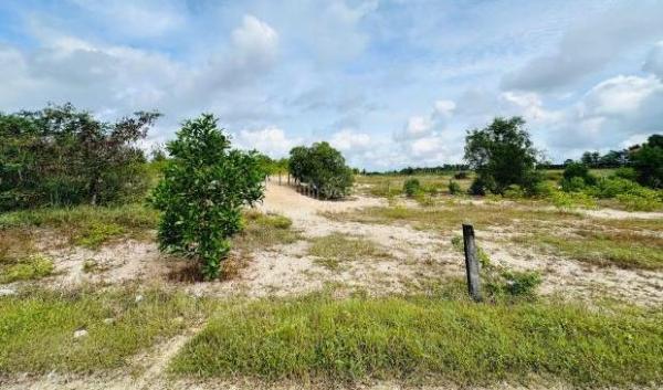 Chủ cần bán Khác 1319m²