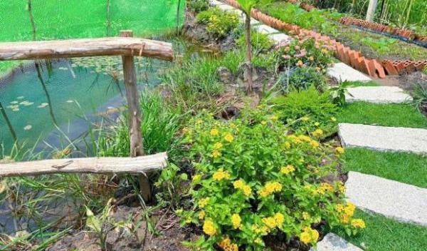 Bể nợ 💥 ngân hàng cần bán miếng đất vườn hơn 8200m2 giá 420tr