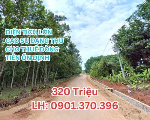 Chủ cần bán Khác 5600m²